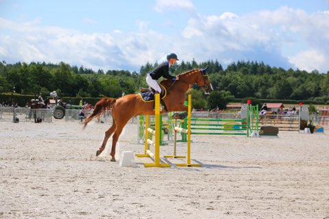 -5049703575497095985.jpg (38 KB)