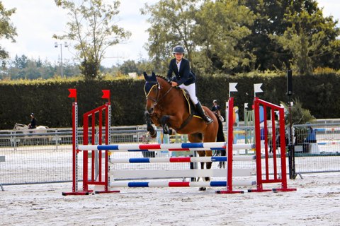 6537738406665719471.jpg (52 KB)