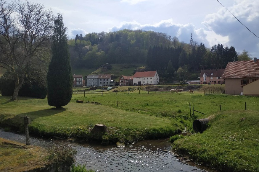 Bousseviller : Nouveau maire pour la commune après la démission de l’ancienne maire – Radio Studio 1