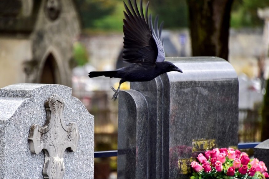 Maizières-lès-Metz : 96 sépultures dégradées dans l’ancien cimetière