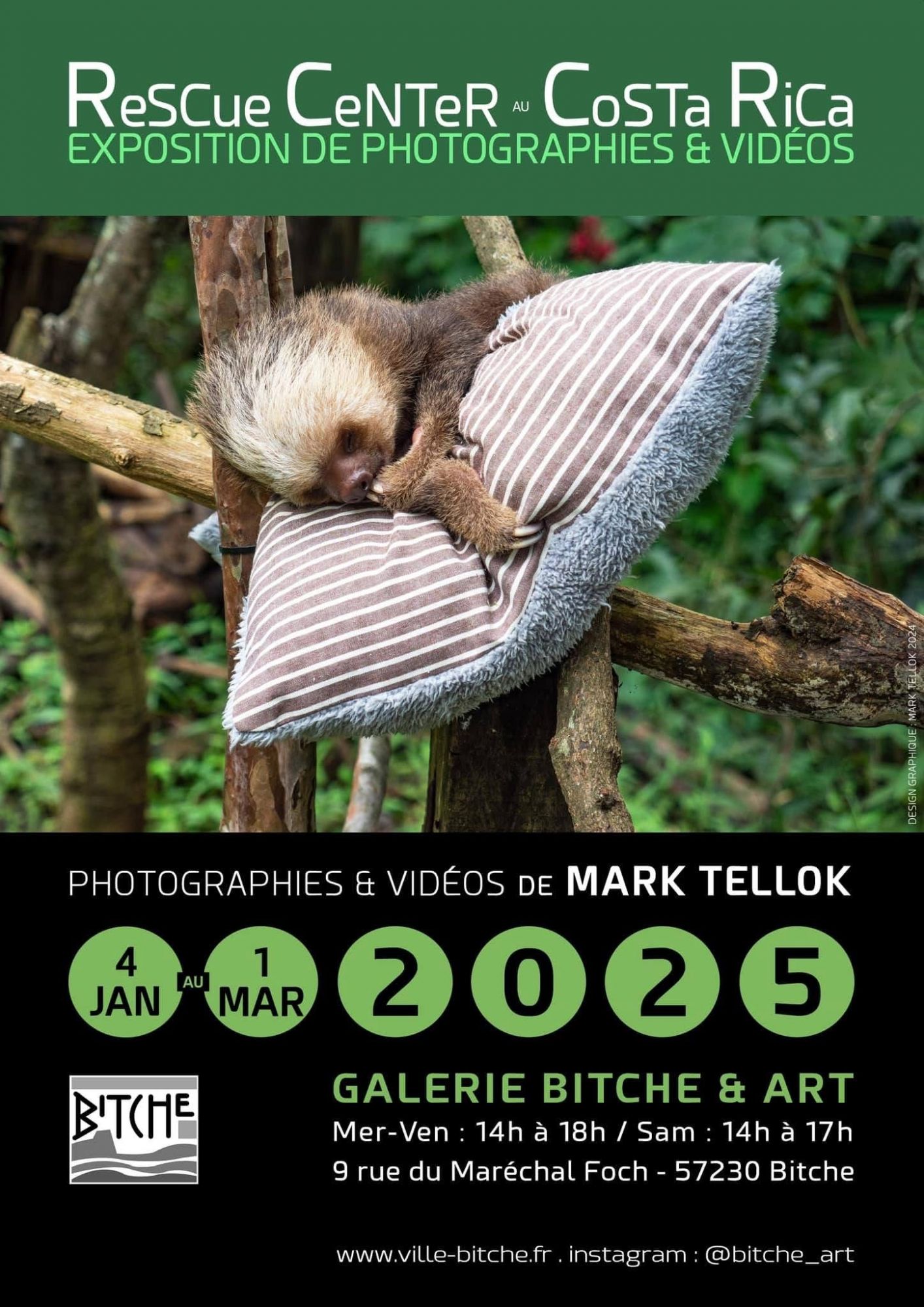 1401 expo 01.jpeg (365 KB)