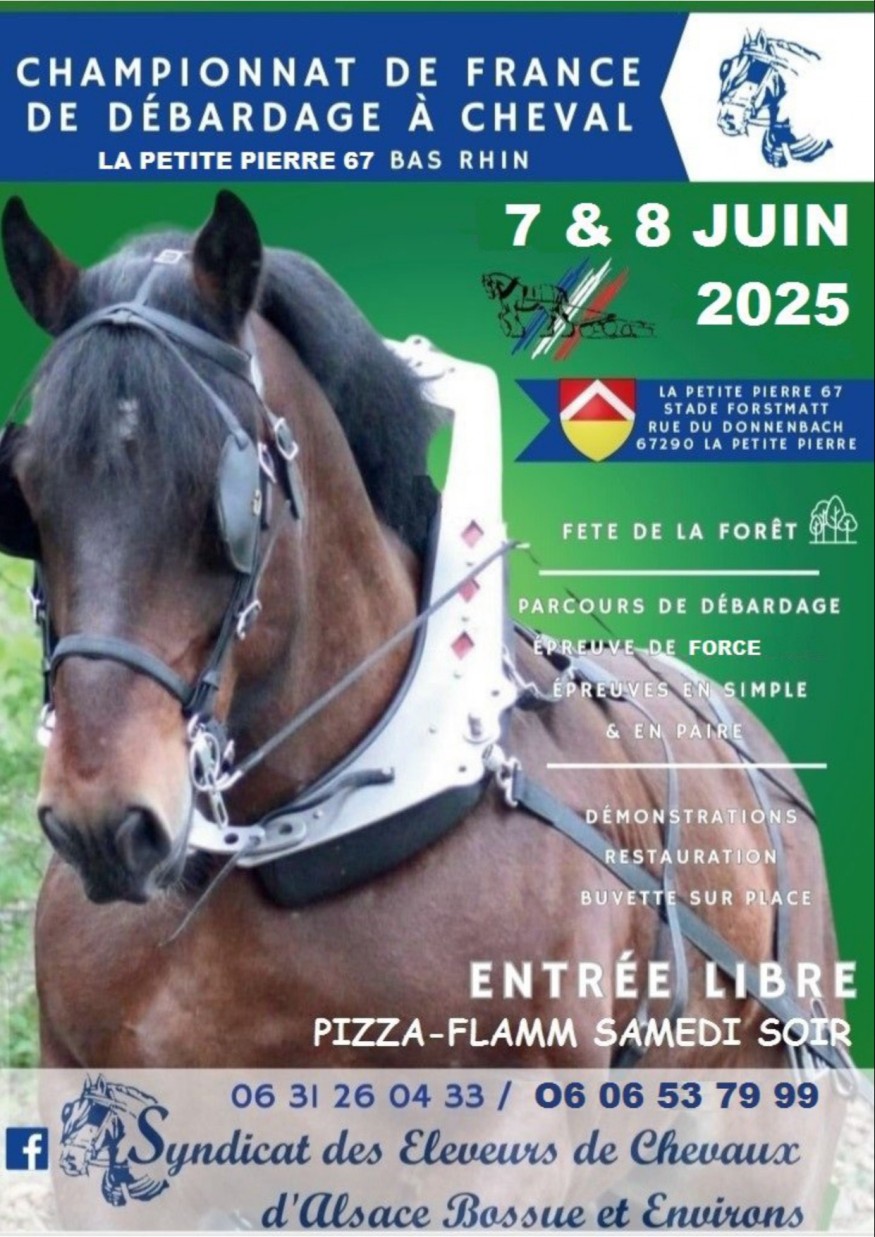 CHEVAUX.jpg (228 KB)