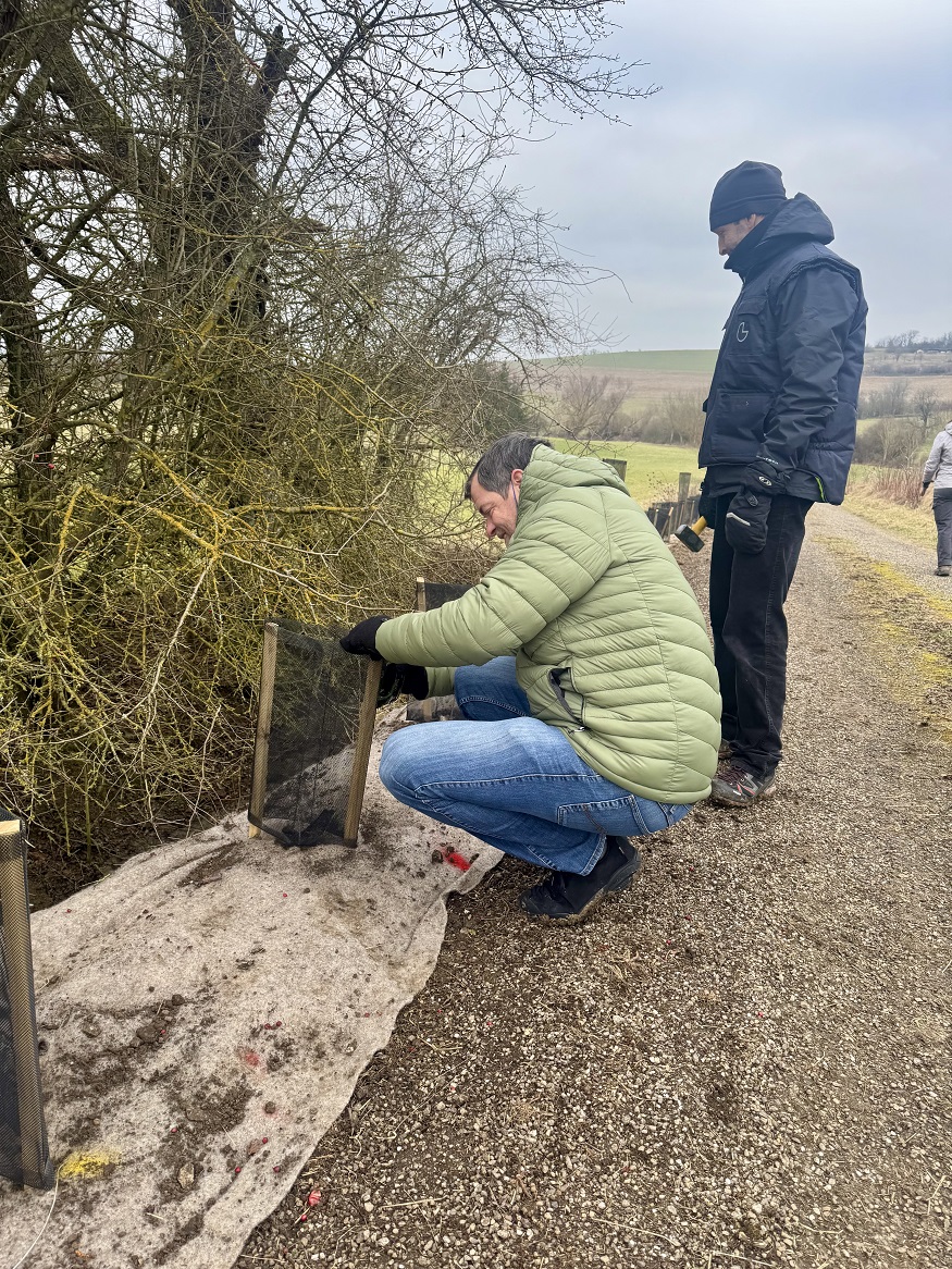 IMG_7899.jpg (687 KB)