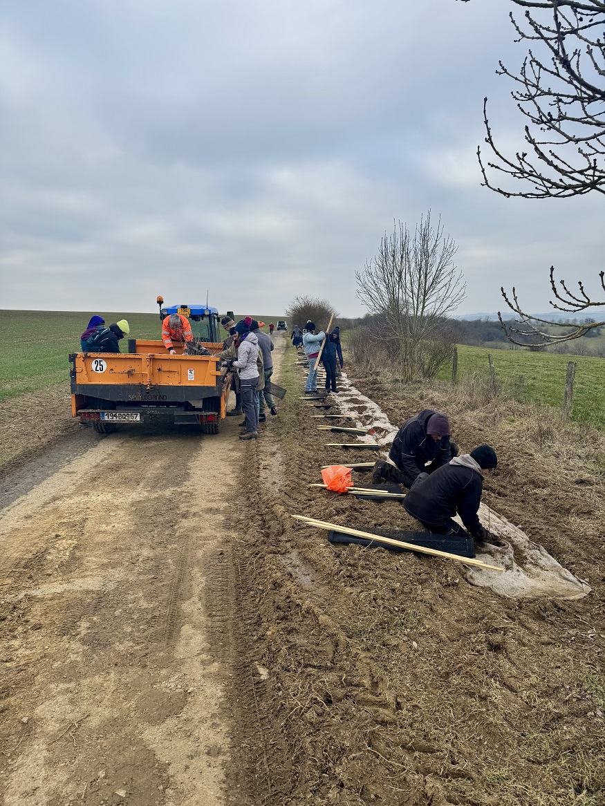 IMG_7900.jpg (497 KB)