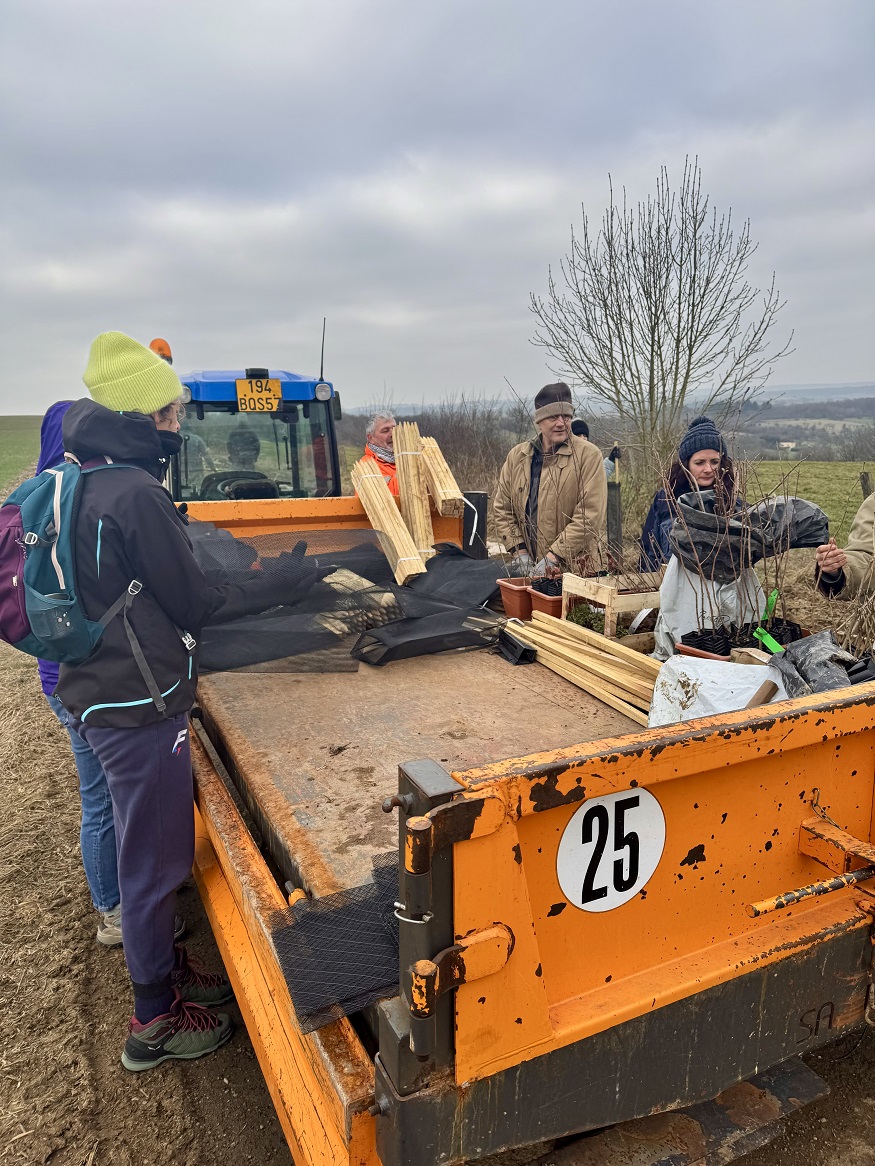 IMG_7902.jpg (420 KB)