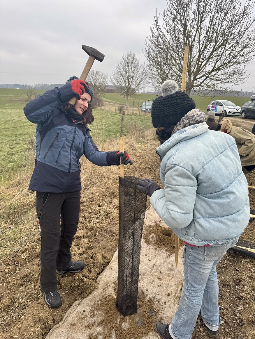 IMG_7903.jpg (561 KB)