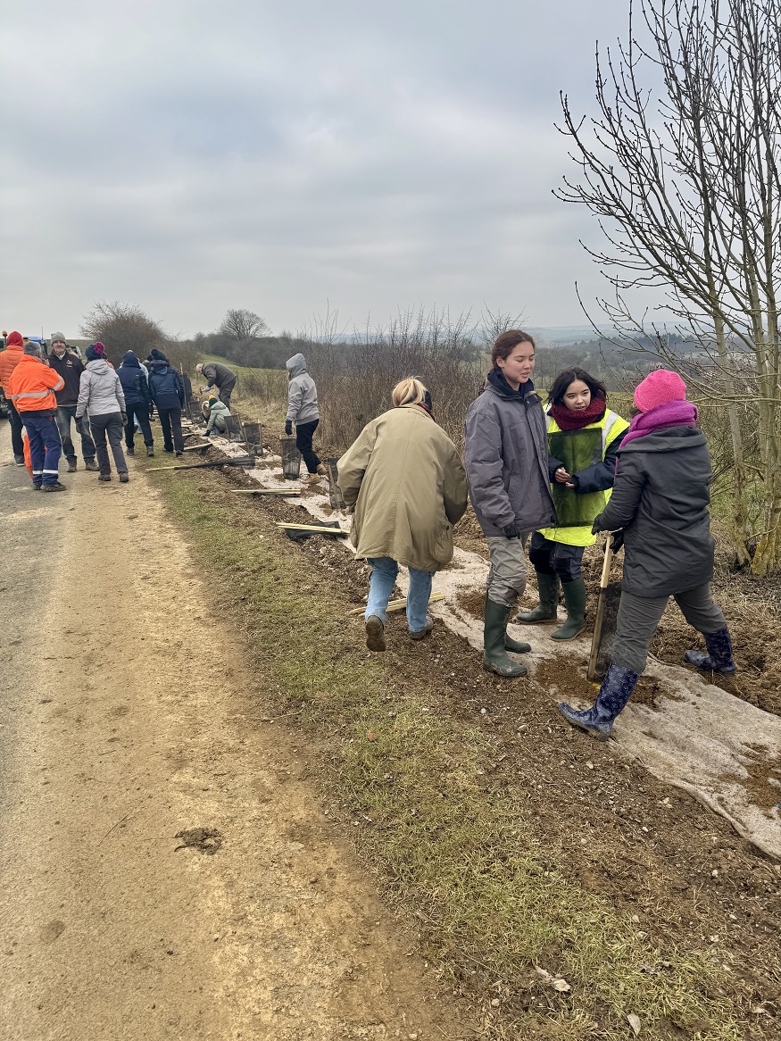 IMG_7904.jpg (550 KB)